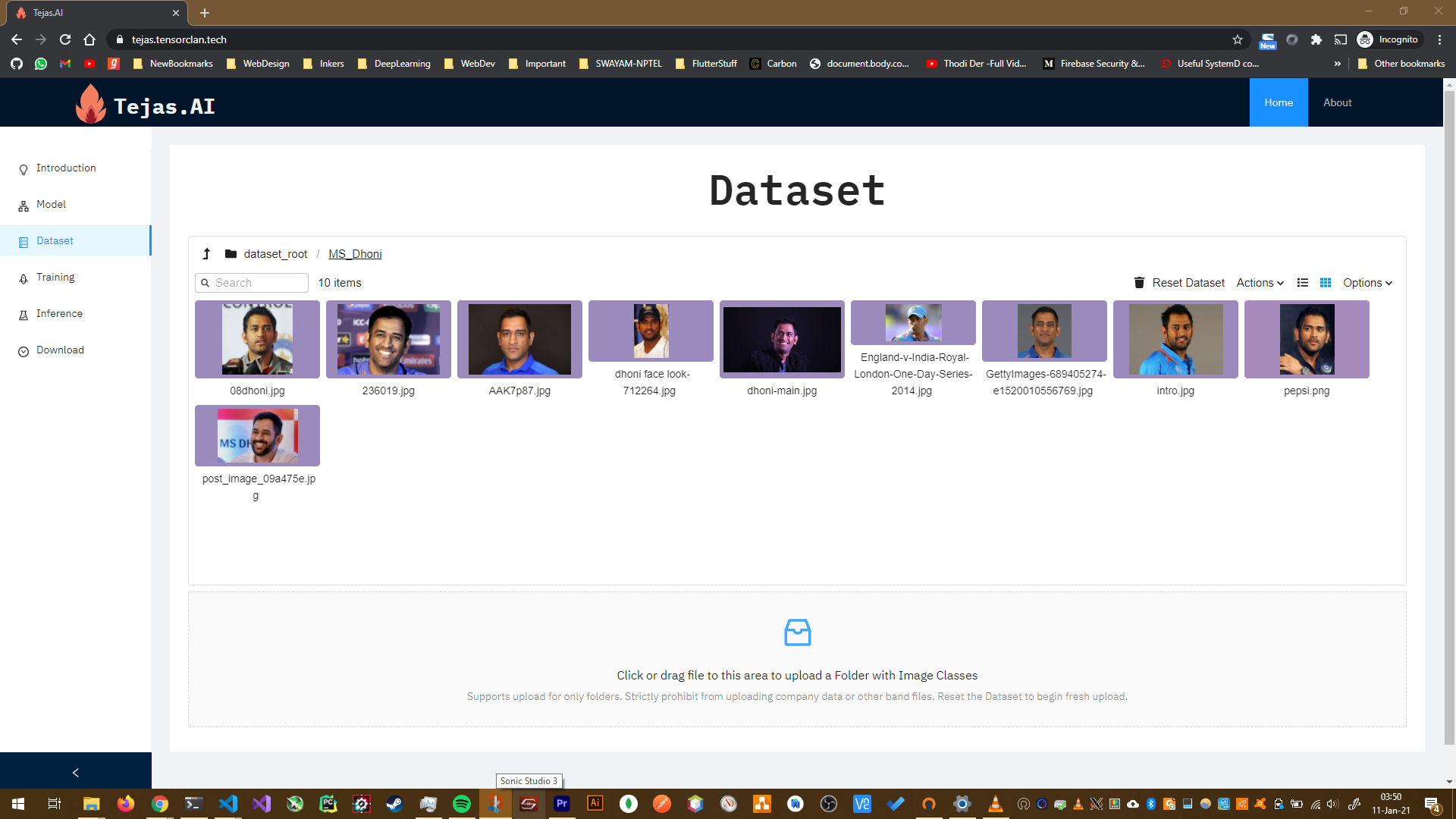dataset